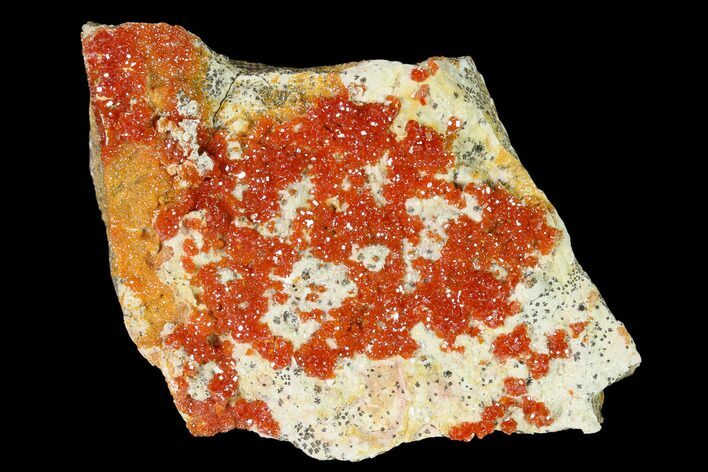 Red & Orange Vanadinite Crystals on Dolomite - Morocco #155413